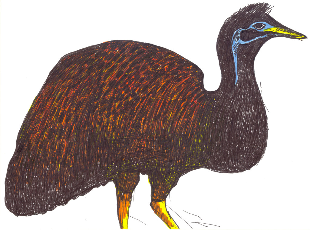 emu