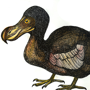 A Field Guide to Extinct Birds